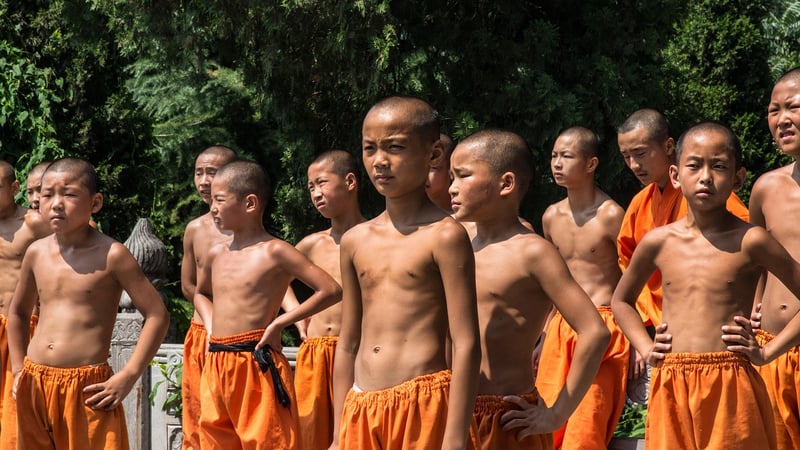 Yang Style Chinese Martial Arts